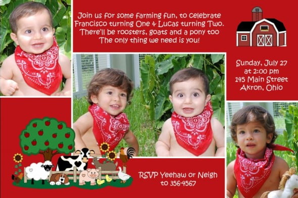 Brothers Farm Birthday Invitations