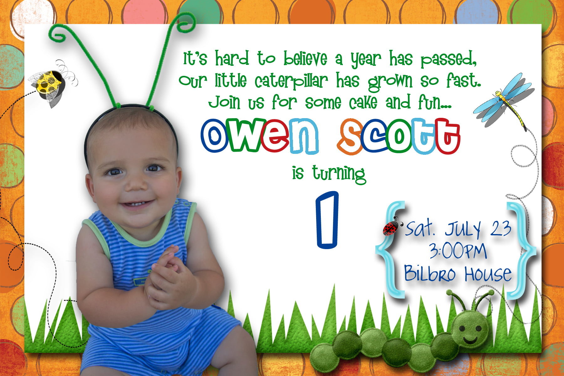 Insects First Birthday Party Invitation