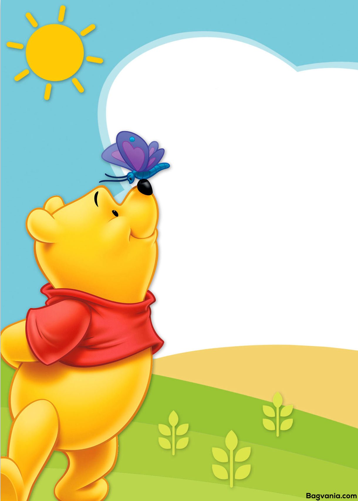 Free Printable Winnie The Pooh Birthday Invitation Wording ...