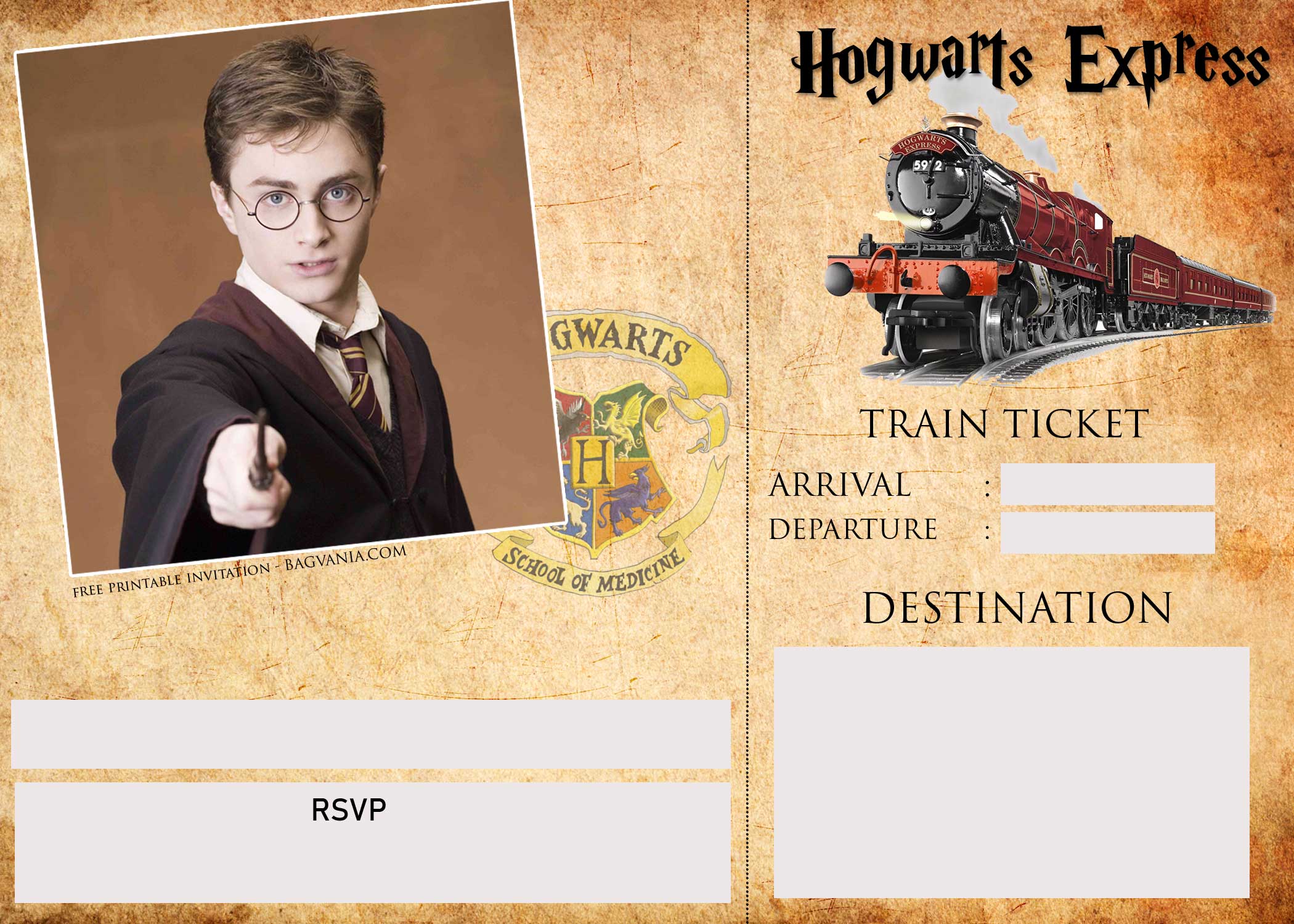 Harry Potter Ticket Invitation Template Free Printable Birthday Invitation Templates Bagvania